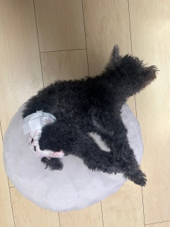 邭