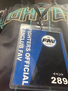 �T�C����